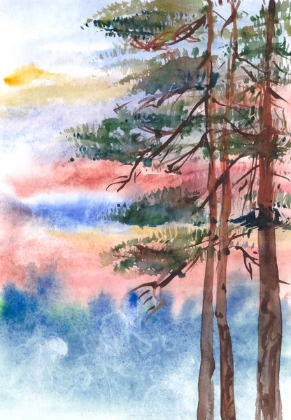 Troncs de pins au coucher du soleil aquarelle dessin — Photo