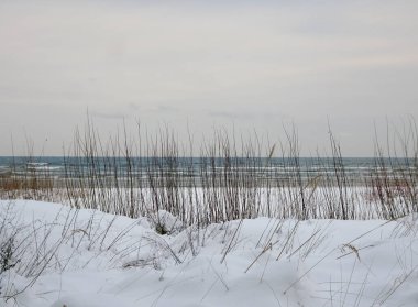 Kış Baltık denizi ve karlı sahil, seçici odak