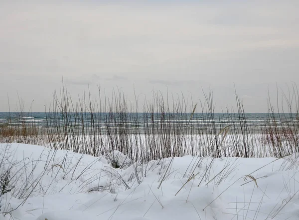 Kış Baltık denizi ve karlı sahil, seçici odak