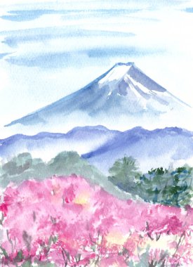 Fuji Dağı ve kiraz çiçekleri suluboya manzara. Yüksek kaliteli illüstrasyon