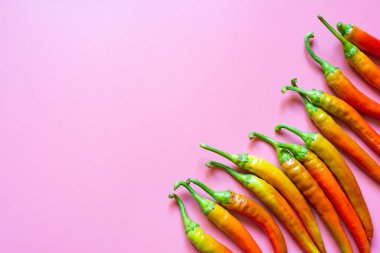 Taze kırmızı ve turuncu, pembe arka planda acı biber ve fotokopi alanı