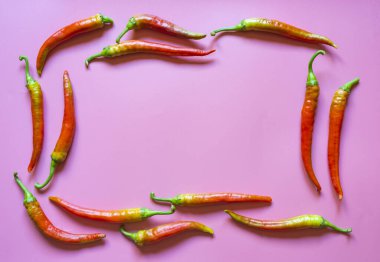 Pembe arka planda kırmızı, sıcak, kırmızı biberlerden çerçeve