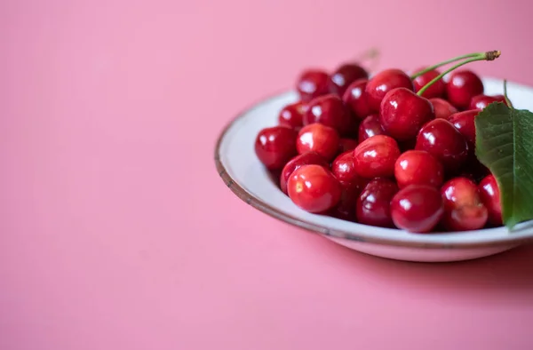 Cerezas Recién Recogidas Placa Metal Sobre Fondo Rosa — Foto de Stock