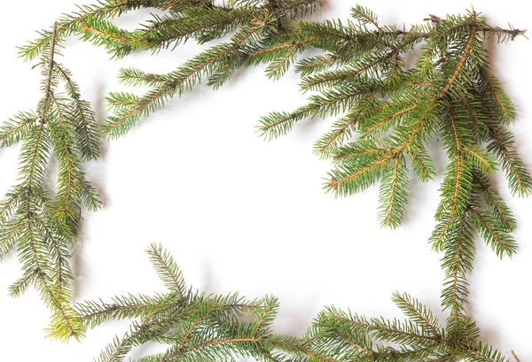 Frame from pine branches isolated on wgite background. Christmas decoration concept