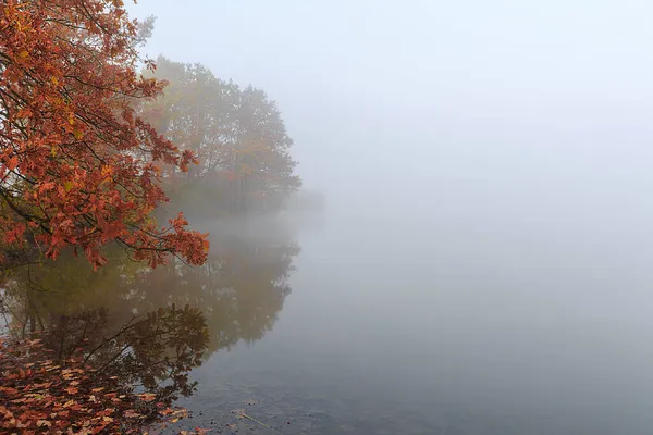 Der Neblige Herbst Auf Einem Kleinen See — Stockfoto