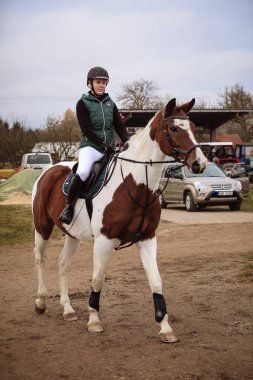 St. Hubertus sonbaharda at sürüyor - Çek Cumhuriyeti tilki avı