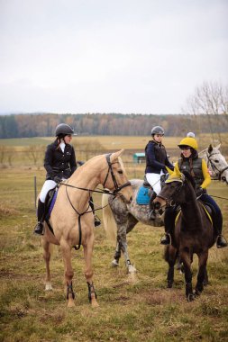 St. Hubertus sonbaharda at sürüyor - Çek Cumhuriyeti tilki avı
