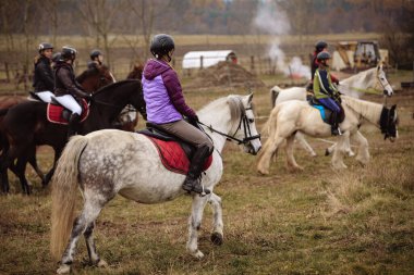 St. Hubertus sonbaharda at sürüyor - Çek Cumhuriyeti tilki avı