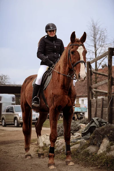 Hubertus Ride Fall Hunt Fox Czech Republic — Stockfoto