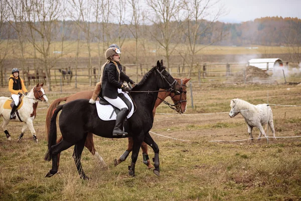 圣胡伯图斯秋天骑马 猎杀狐狸捷克共和国 — 图库照片
