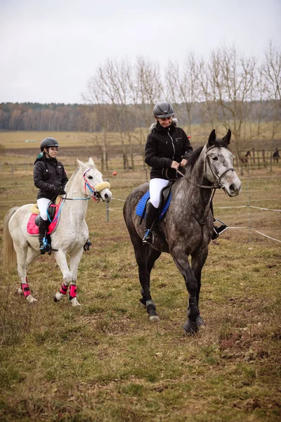 St. Hubertus sonbaharda at sürüyor - Çek Cumhuriyeti tilki avı