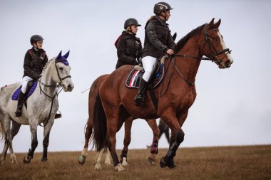 St. Hubertus sonbaharda at sürüyor - Çek Cumhuriyeti tilki avı