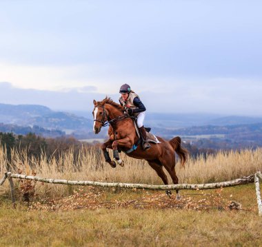 St. Hubertus ride in fall - hunt of fox Czech republic