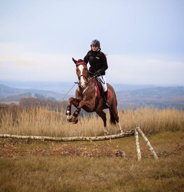 St. Hubertus sonbaharda at sürüyor - Çek Cumhuriyeti tilki avı