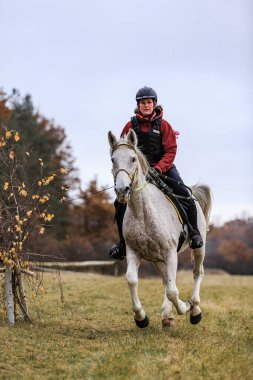 St. Hubertus sonbaharda at sürüyor - Çek Cumhuriyeti tilki avı
