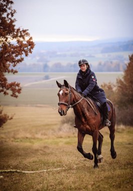 St. Hubertus sonbaharda at sürüyor - Çek Cumhuriyeti tilki avı