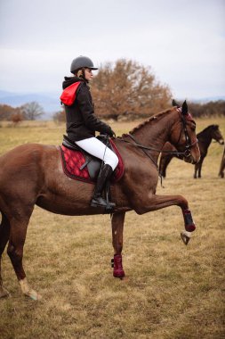 St. Hubertus sonbaharda at sürüyor - Çek Cumhuriyeti tilki avı