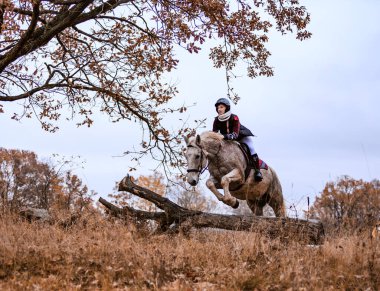 St. Hubertus sonbaharda at sürüyor - Çek Cumhuriyeti tilki avı