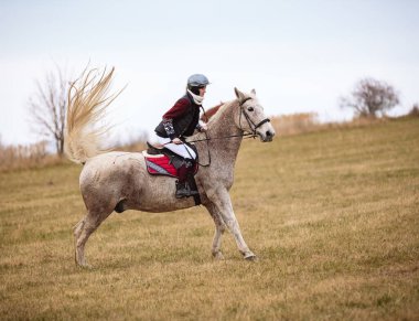 St. Hubertus sonbaharda at sürüyor - Çek Cumhuriyeti tilki avı