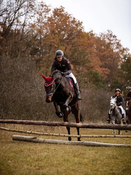 Hubertus Ride Fall Hunt Fox Czech Republic — стокове фото