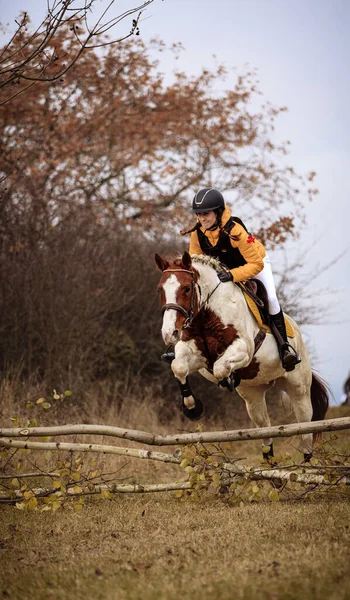 Hubertus Ride Fall Hunt Fox Czech Republic — ストック写真