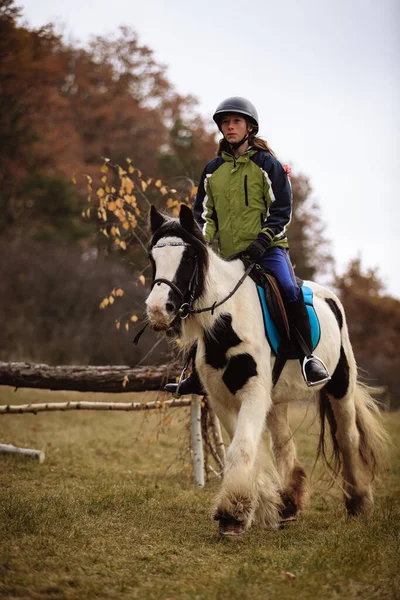 St. Hubertus sonbaharda at sürüyor - Çek Cumhuriyeti tilki avı