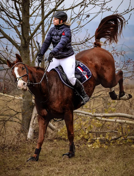 Hubertus Ride Fall Hunt Fox Czech Republic — Stockfoto