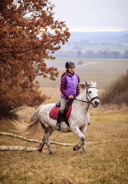 Hubertus Ride Fall Hunt Fox Czech Republic — стоковое фото