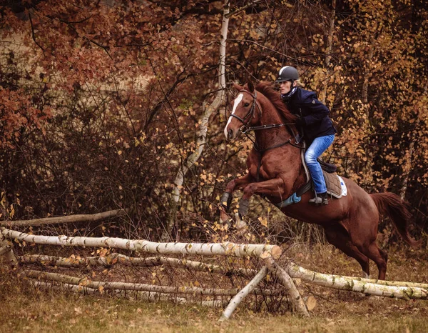 Hubertus Ride Fall Hunt Fox Czech Republic — Foto de Stock