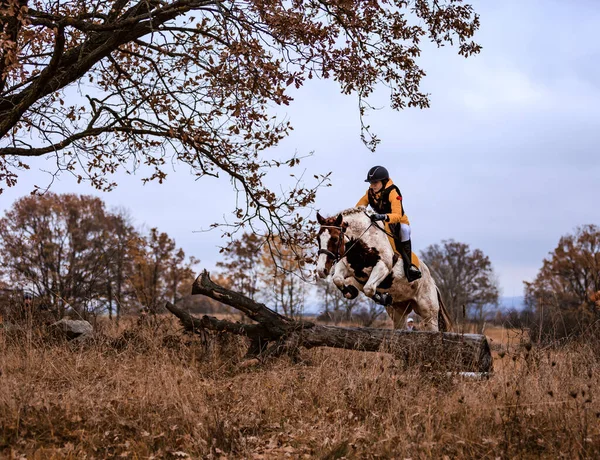 St. Hubertus sonbaharda at sürüyor - Çek Cumhuriyeti tilki avı