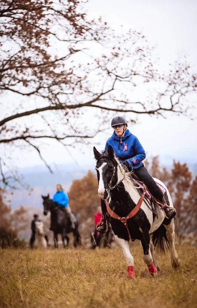 St. Hubertus sonbaharda at sürüyor - Çek Cumhuriyeti tilki avı