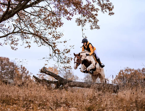 Hubertus Ride Fall Hunt Fox Czech Republic — 图库照片