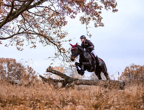 圣胡伯图斯秋天骑马 猎杀狐狸捷克共和国 — 图库照片