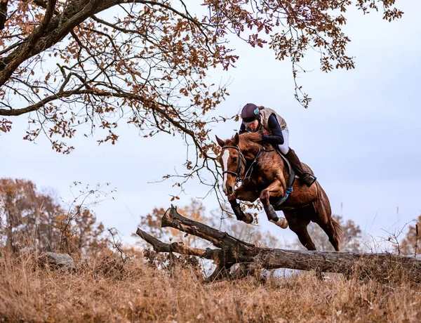 Hubertus Ride Fall Hunt Fox Czech Republic — стокове фото