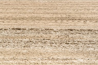 İspanya, Santander sahilinde kum dokusu.