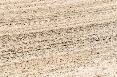 İspanya, Santander sahilinde kum dokusu.