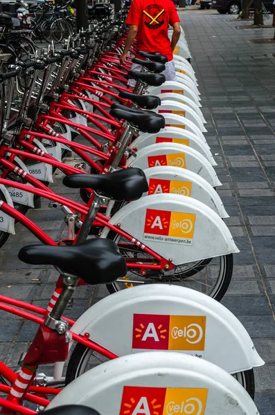 Antwerp Bélgica Agosto 2013 Fila Bicicletas Empresa Velo Serviço Compartilhamento — Fotografia de Stock