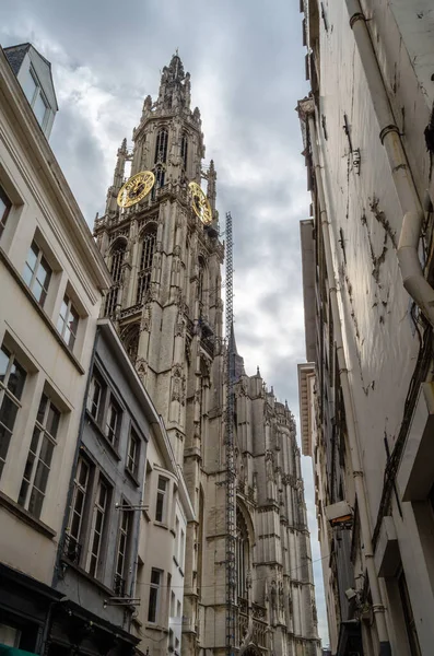 Άποψη Του Γοτθικού Καθεδρικού Ναού Της Παναγίας Στην Αμβέρσα Βέλγιο — Φωτογραφία Αρχείου