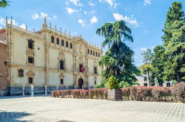 İspanya 'nın başkenti Alcala de Henares' de bulunan Colegio Belediye Başkanı de San Ildefonso, 1499 yılında Alcala Üniversitesi 'nin merkezi olarak kurulmuştur.