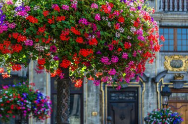 Brüksel, Belçika 'daki Grand Place cephelerinin mimari detayları