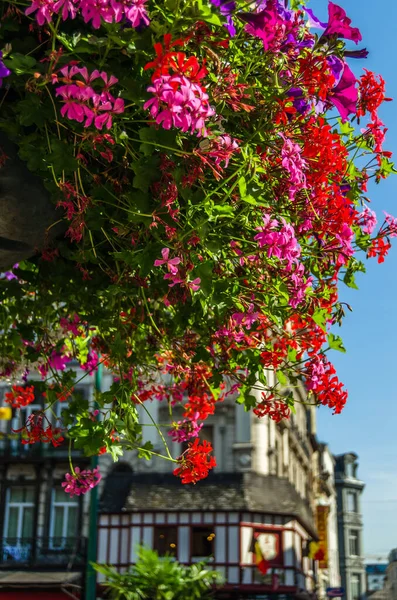 Flores Coloridas Vasos Pendurados Nas Ruas Bruxelas Bélgica — Fotografia de Stock