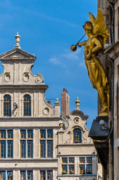 Détails Architecturaux Sur Les Façades Grand Place Bruxelles Belgique — Photo