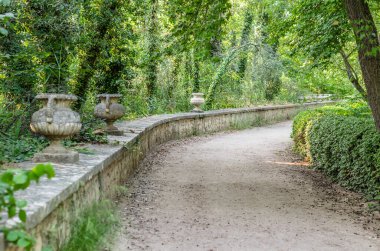 Doğal arka plan, baharda bir parkta patika.