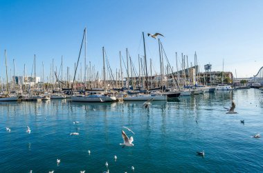 BARCELONA, SPAIN - DECEMBER 8, 2013: Boats and seagulls in the port of Barcelona, Catalonia, Spain