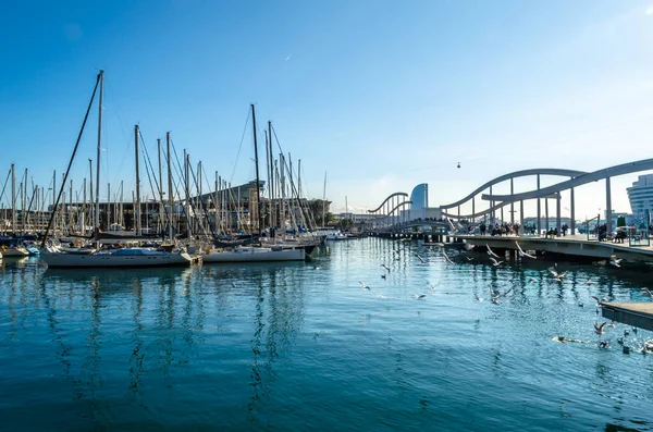 BARCELONA, İspanya - 8 Aralık 2013: Barcelona, İspanya 'nın Katalonya limanında tekneler ve martılar