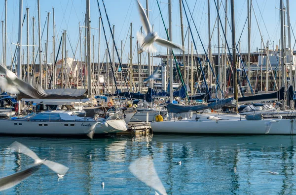 BARCELONA, İspanya - 8 Aralık 2013: Barcelona, İspanya 'nın Katalonya limanında tekneler ve martılar