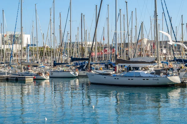 BARCELONA, İspanya - 8 Aralık 2013: Barcelona, İspanya 'nın Katalonya limanında tekneler ve martılar