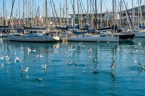 BARCELONA, İspanya - 8 Aralık 2013: Barcelona, İspanya 'nın Katalonya limanında tekneler ve martılar