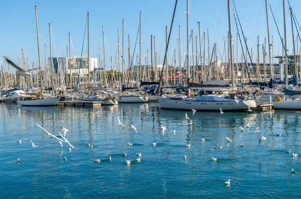 BARCELONA, İspanya - 8 Aralık 2013: Barcelona, İspanya 'nın Katalonya limanında tekneler ve martılar