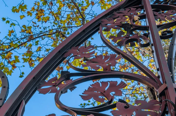 Urban Details Street Lamp Post Wrought Iron Ornaments Autumn Colors — Stock Fotó